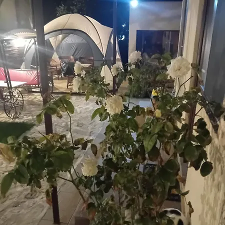 Casa Rustica Năvodari