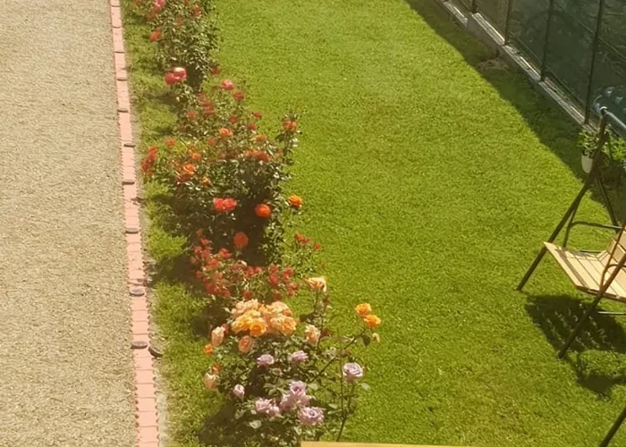 Casa Rustica Pensiune 3*