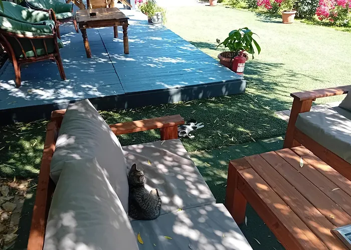 Pensiune Casa Rustica