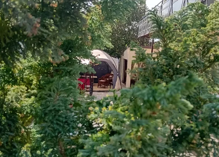 Casa Rustica Pensiune 3*