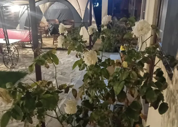 Casa Rustica Năvodari